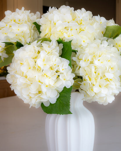Off- White Winter Hydrangea