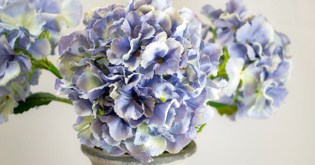 Ocean Blue Hydrangea Stem