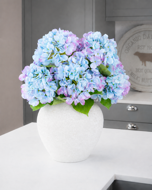 Bloomstruck Hydrangea - Blue/Pink