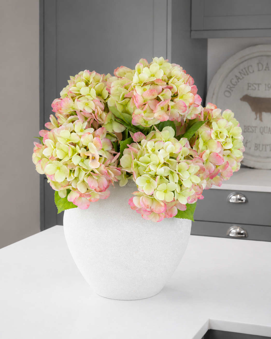 Bloomstruck Hydrangea - Green/Pink