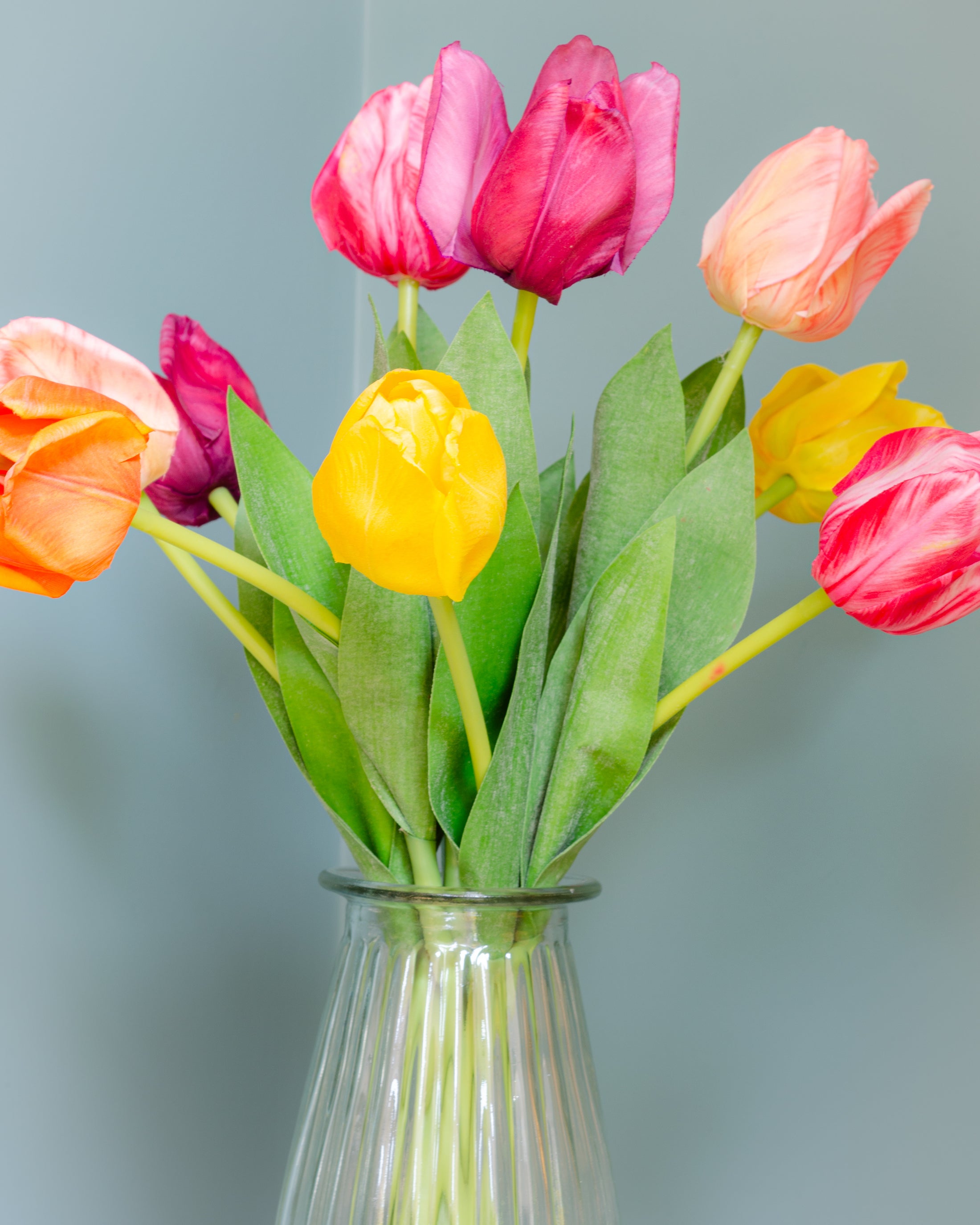 Rainbow of Tulips in Vase