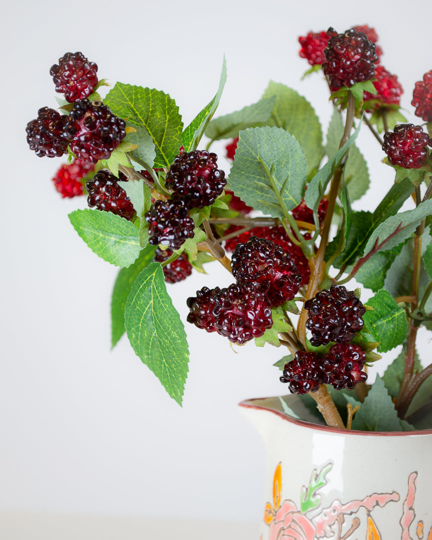 Blackberry & Raspberry Stems