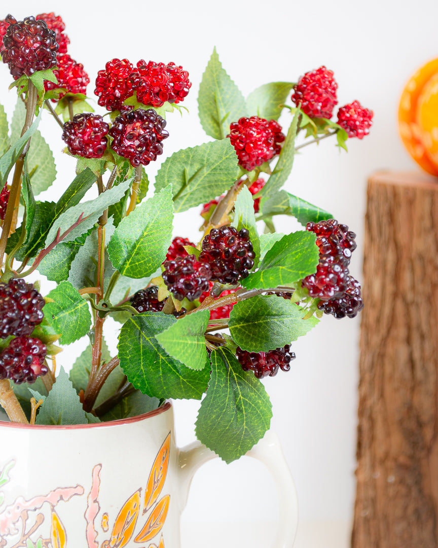 Blackberry & Raspberry Stems