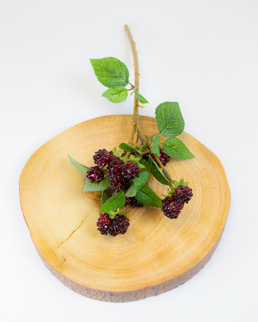 Blackberry & Raspberry Stems