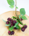 Load image into Gallery viewer, Blackberry & Raspberry Stems
