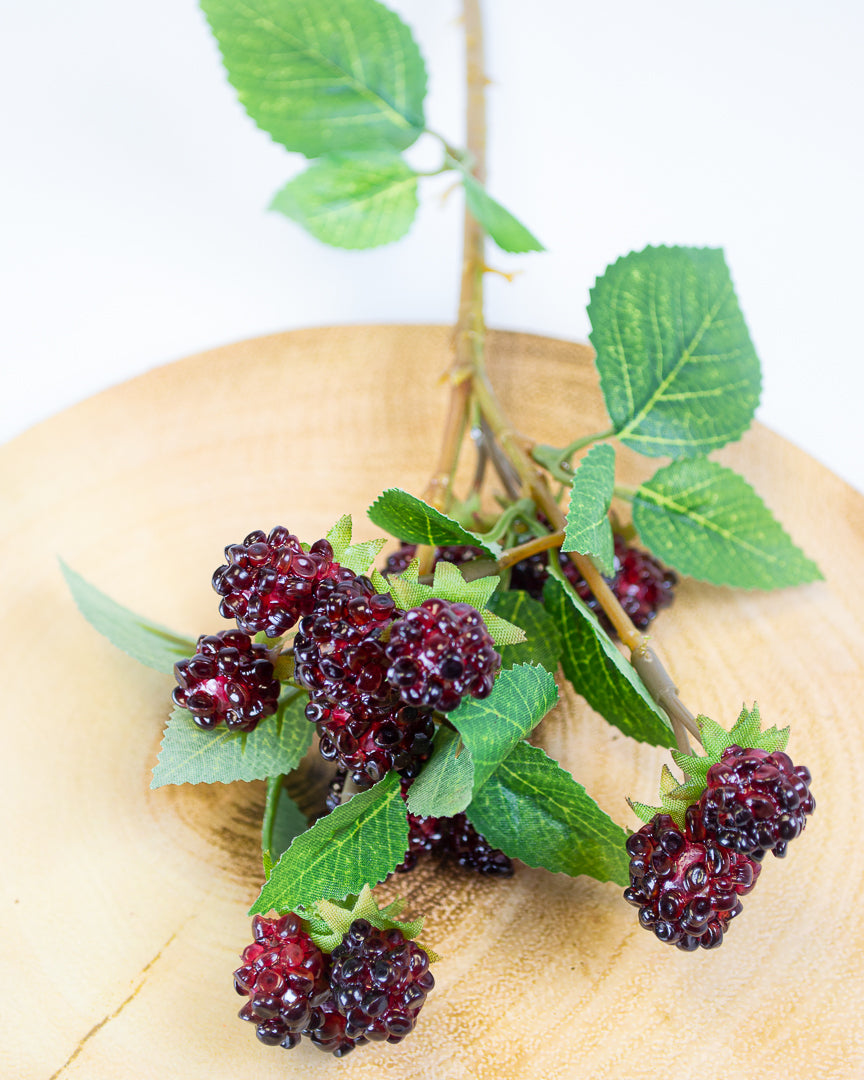 Blackberry & Raspberry Stems