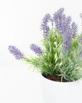 Load image into Gallery viewer, Potted Lavender
