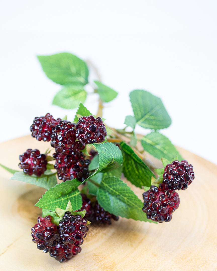 Blackberry & Raspberry Stems