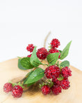 Load image into Gallery viewer, Blackberry & Raspberry Stems
