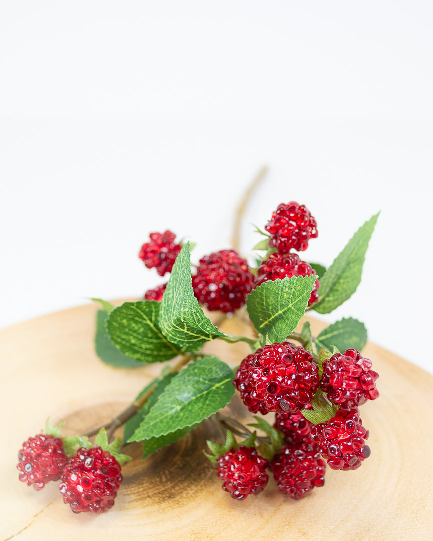 Blackberry & Raspberry Stems