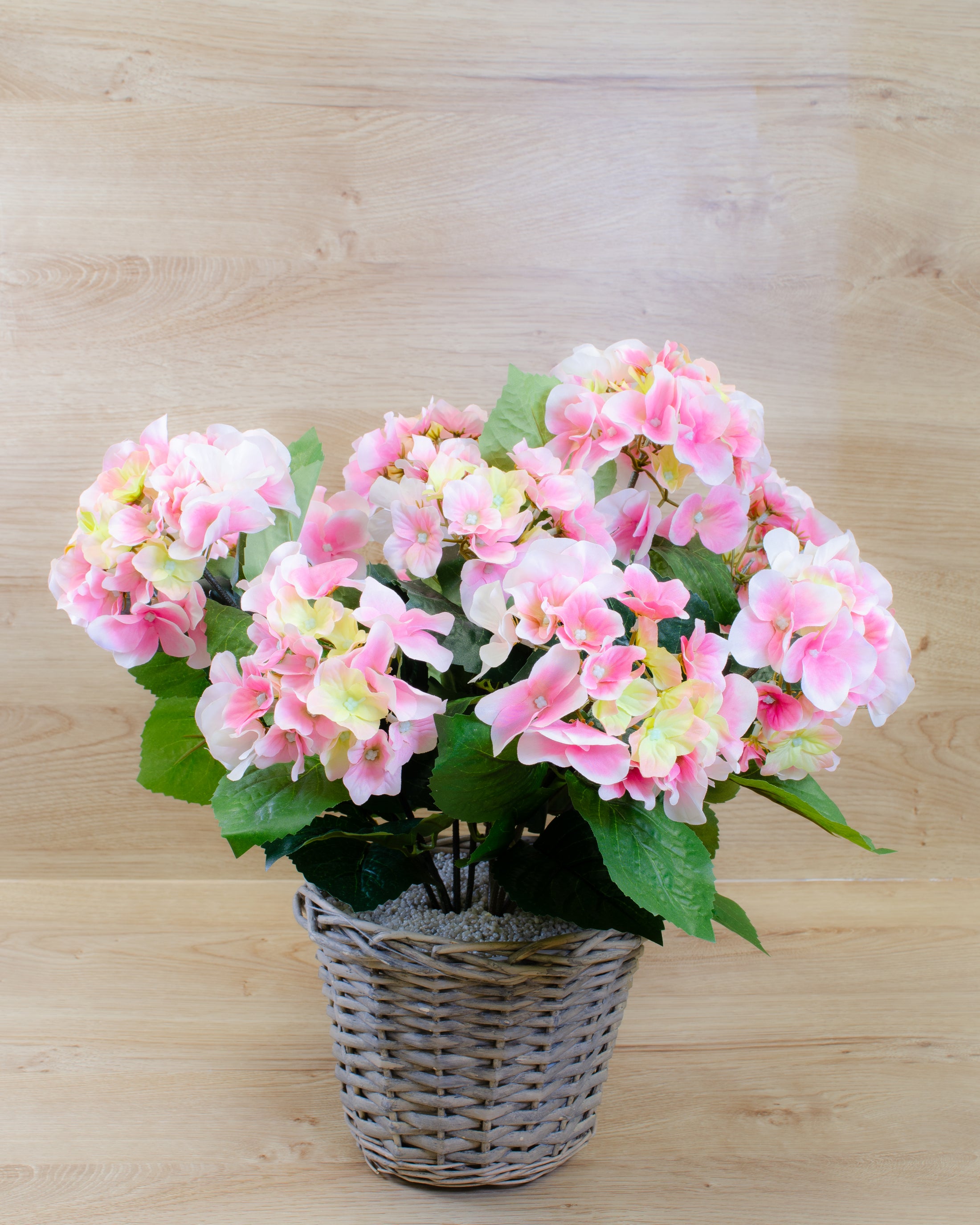 Pink Hydrangea in a Basket