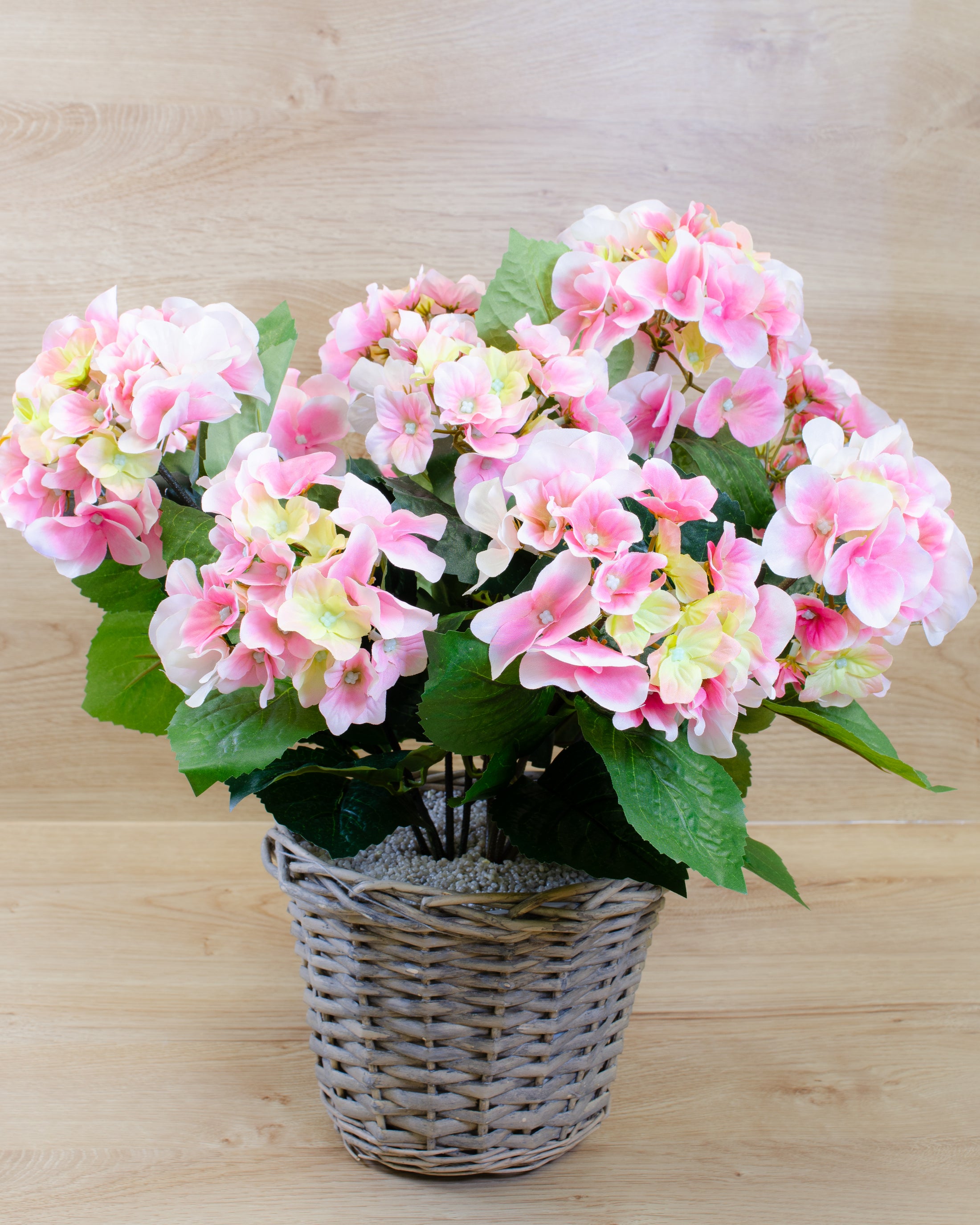 Pink Hydrangea in a Basket