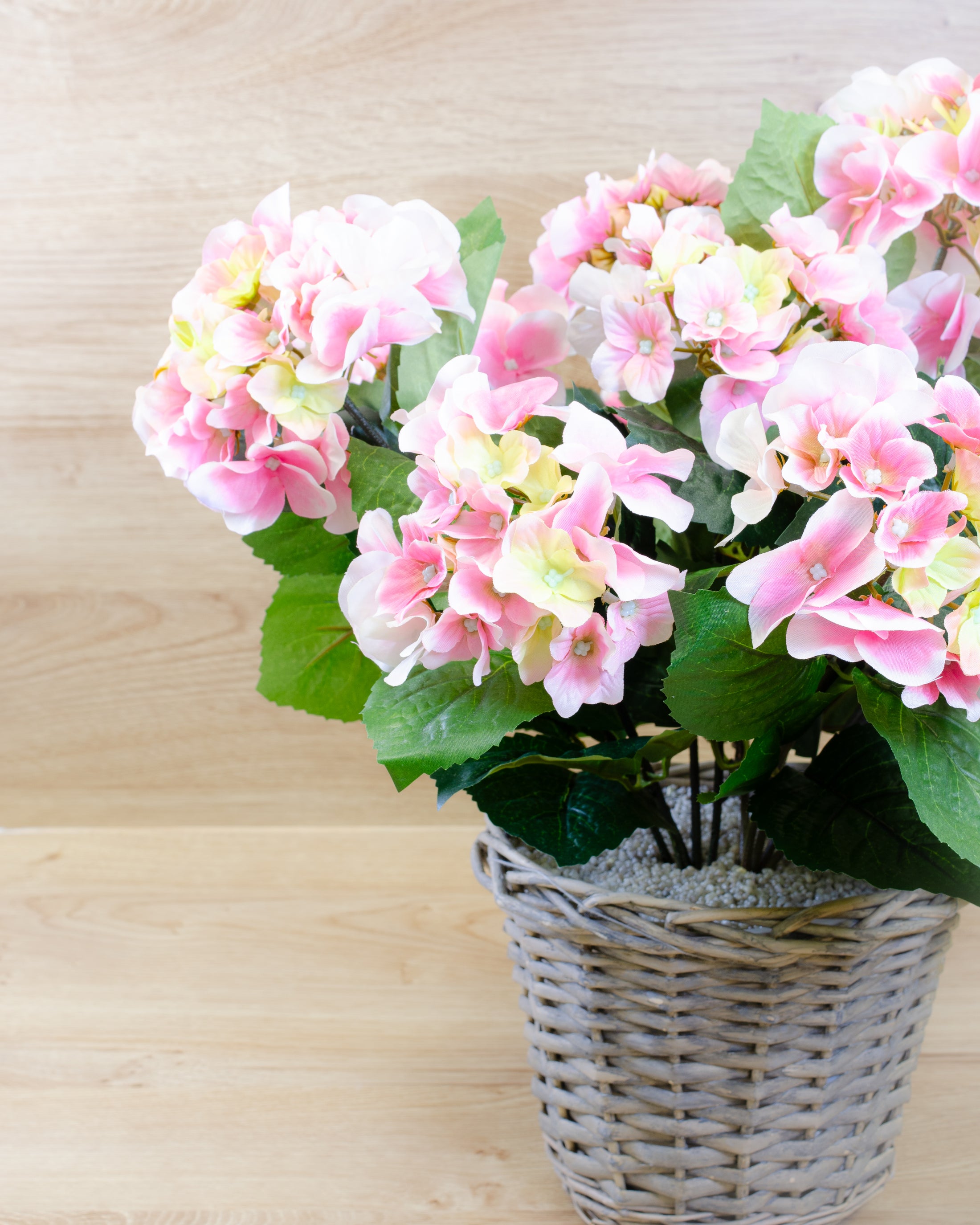 Pink Hydrangea in a Basket