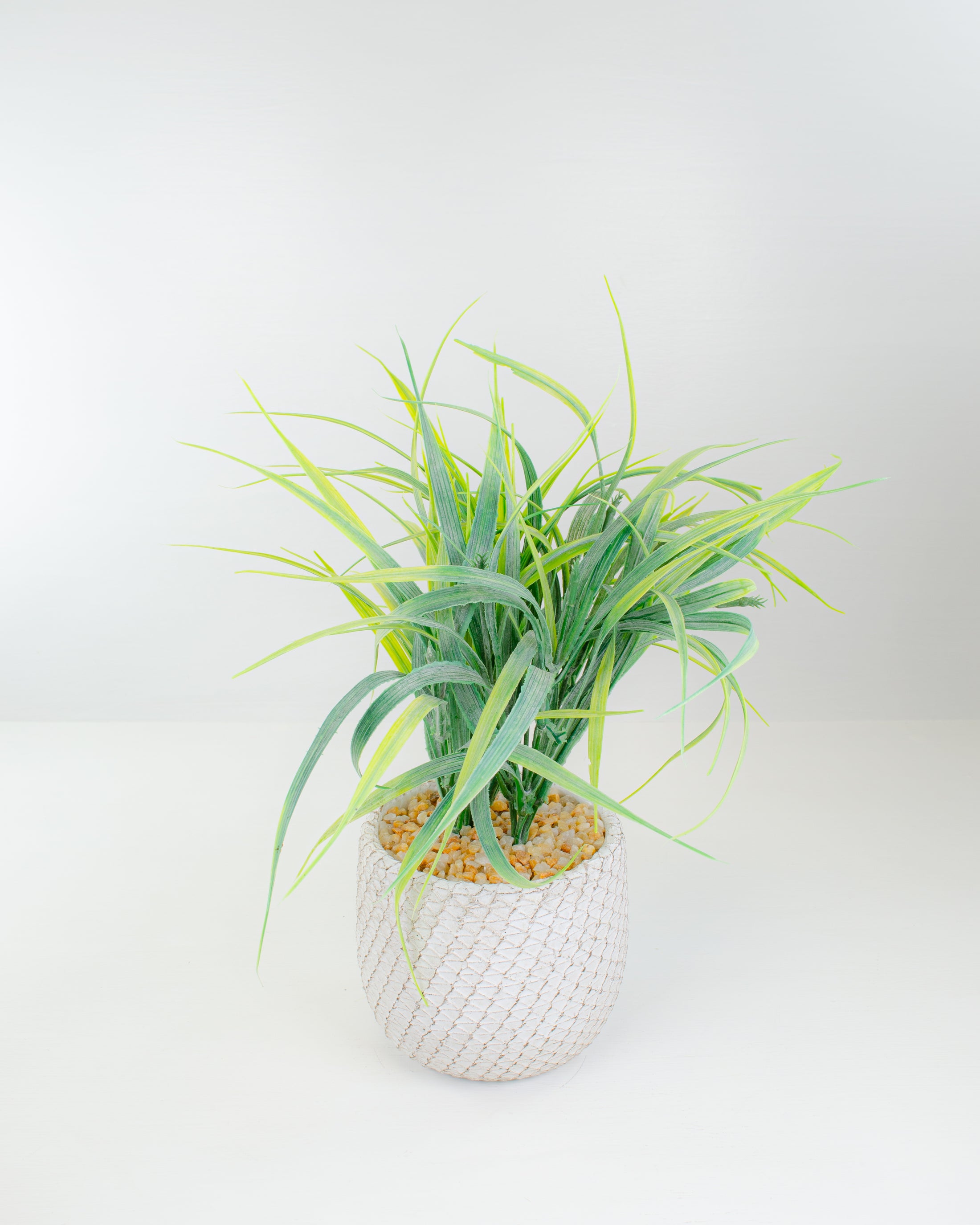 Grass In Pot