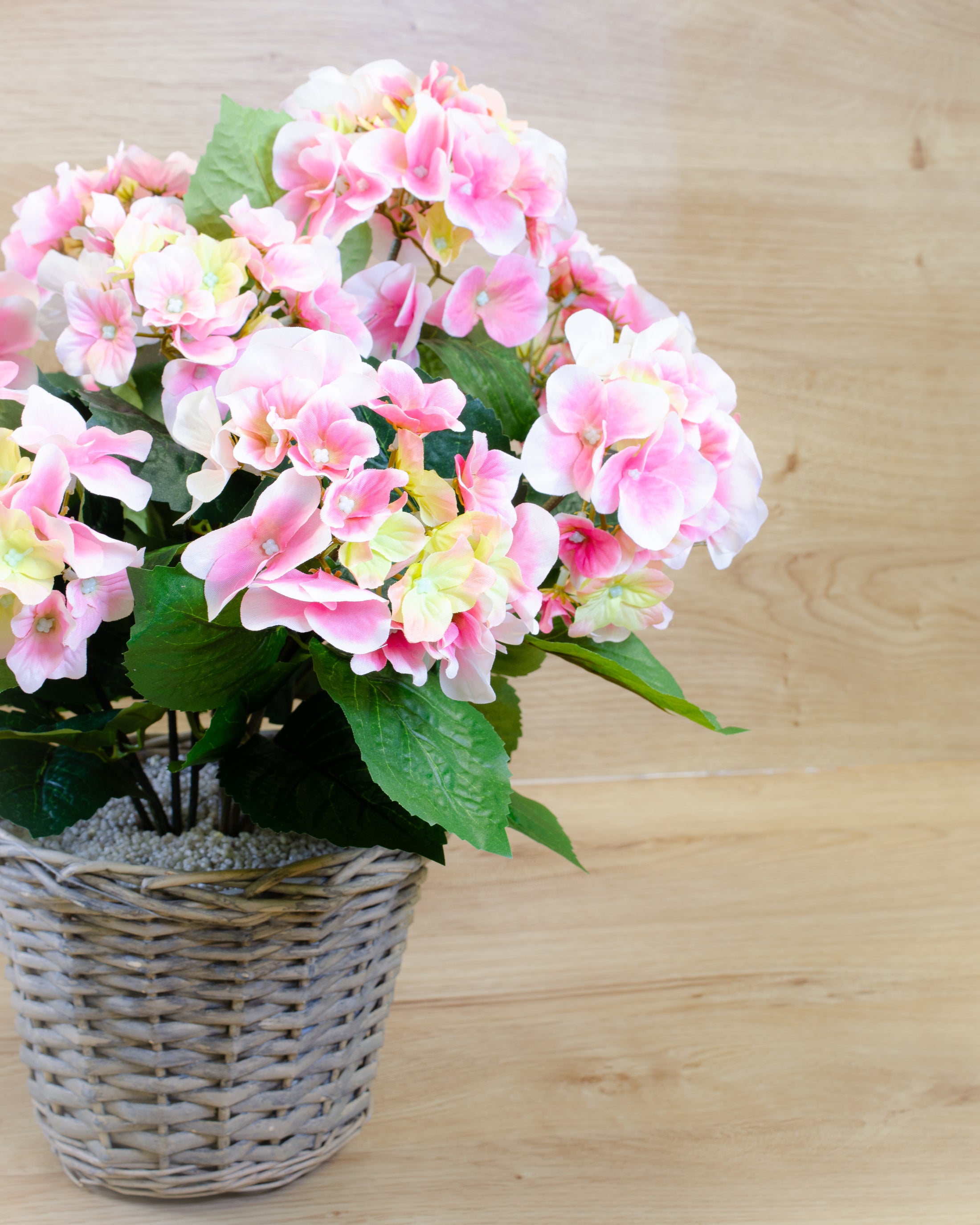 Pink Hydrangea in a Basket