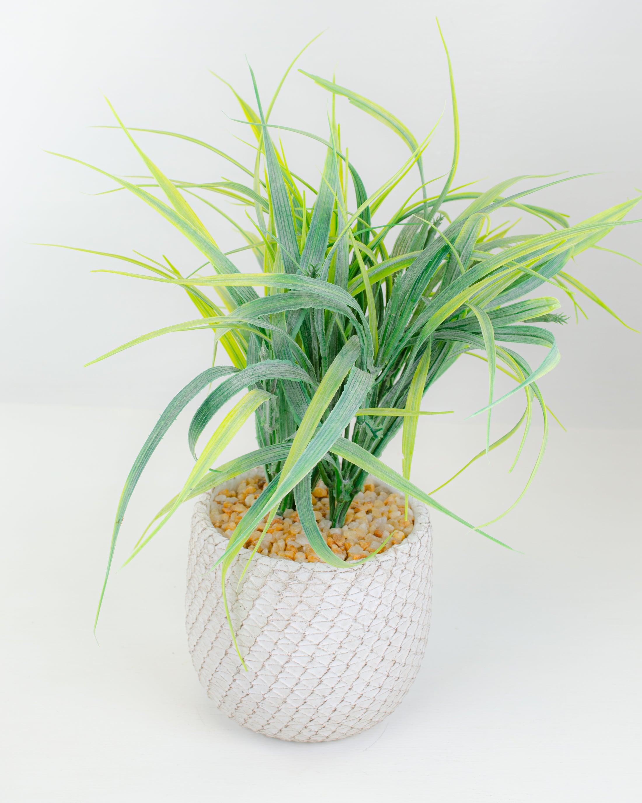 Grass In Pot