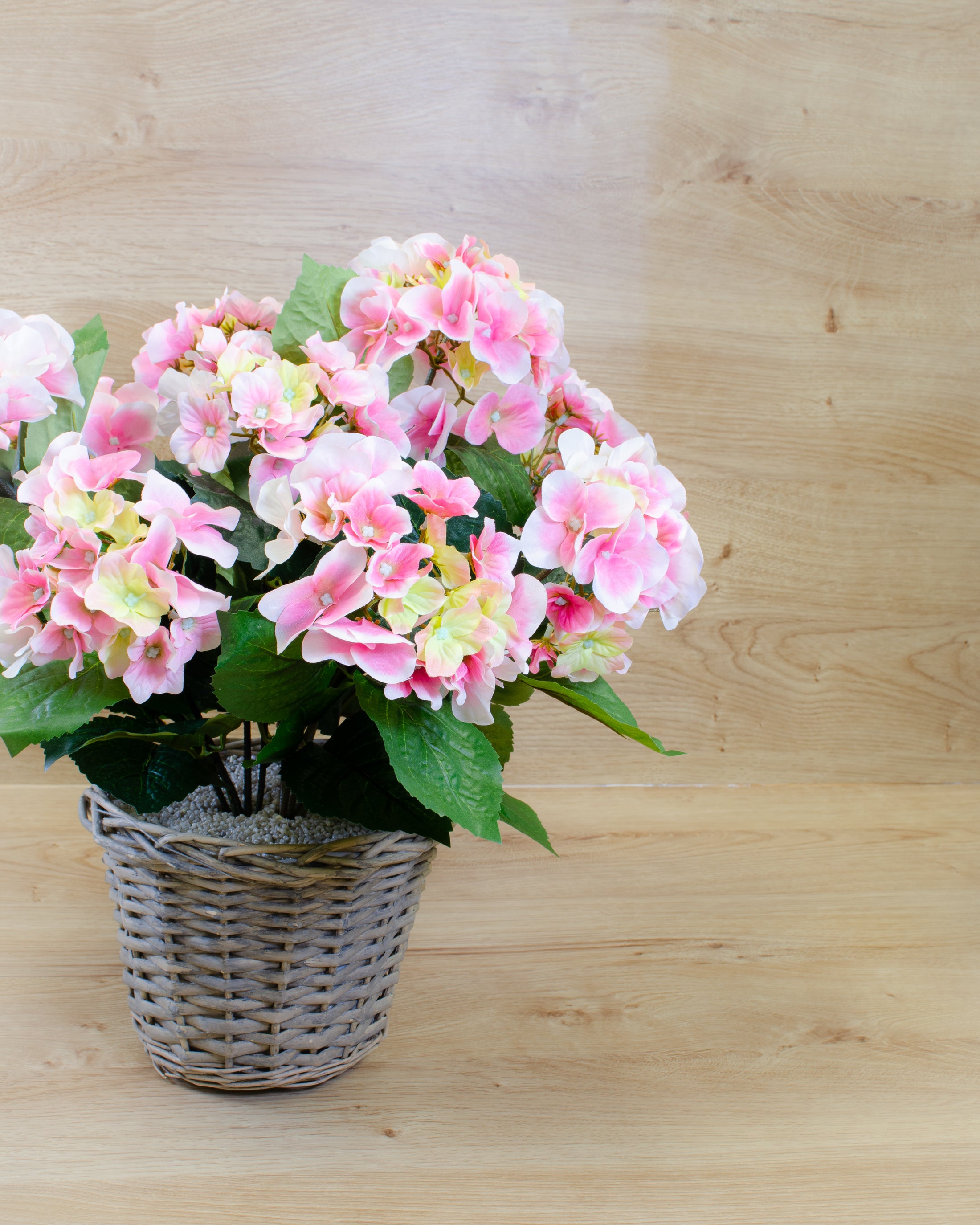 Pink Hydrangea in a Basket