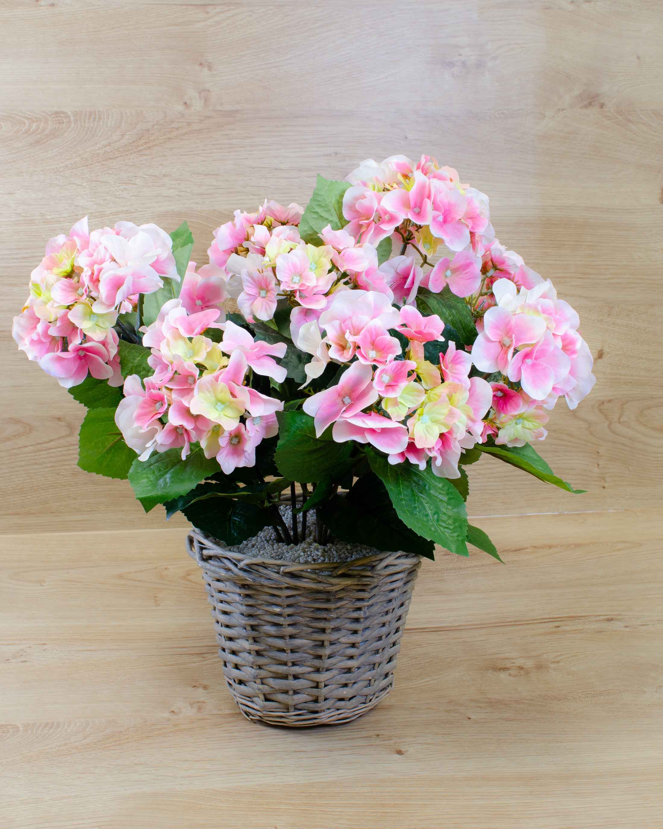 Pink Hydrangea in a Basket