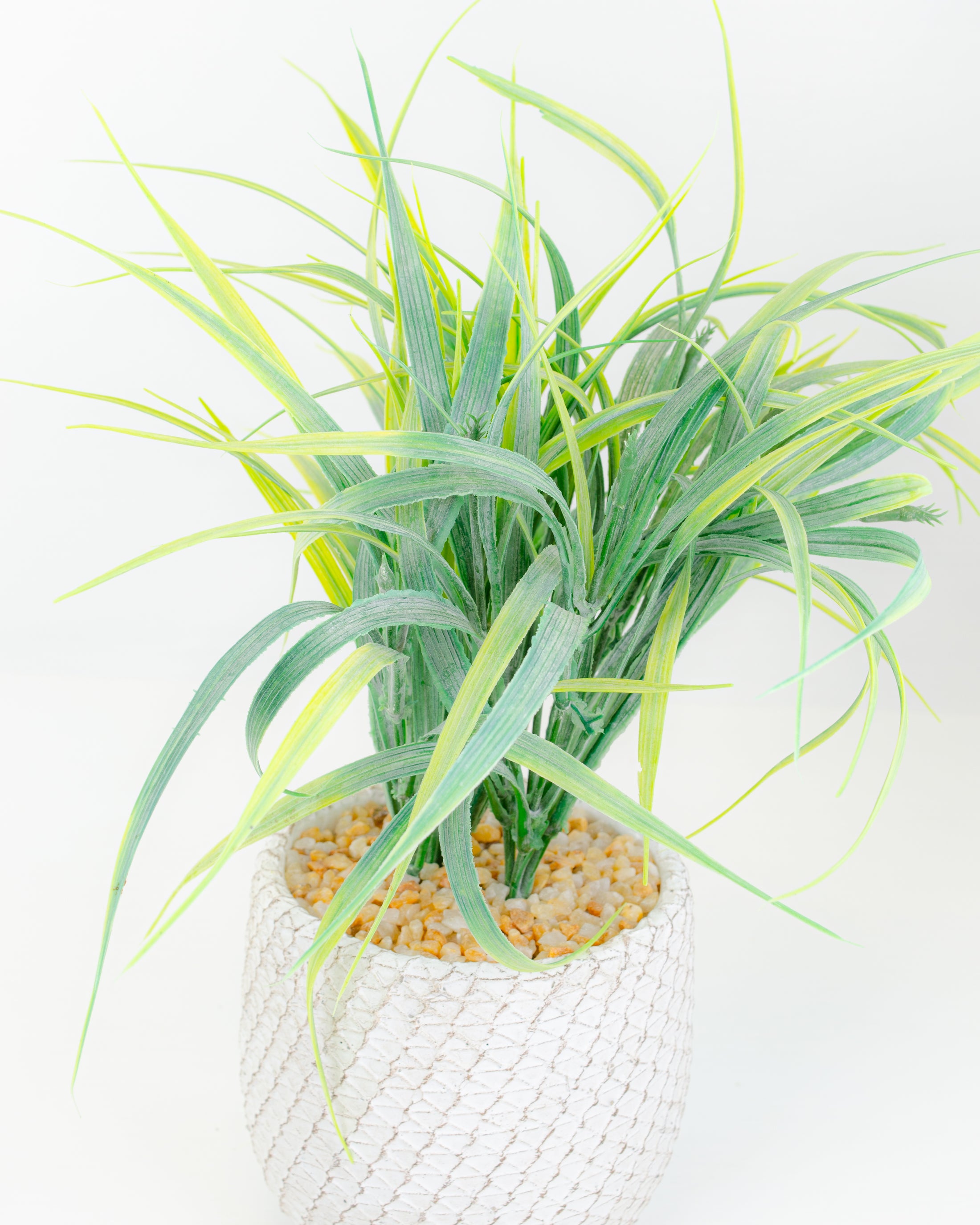 Grass In Pot