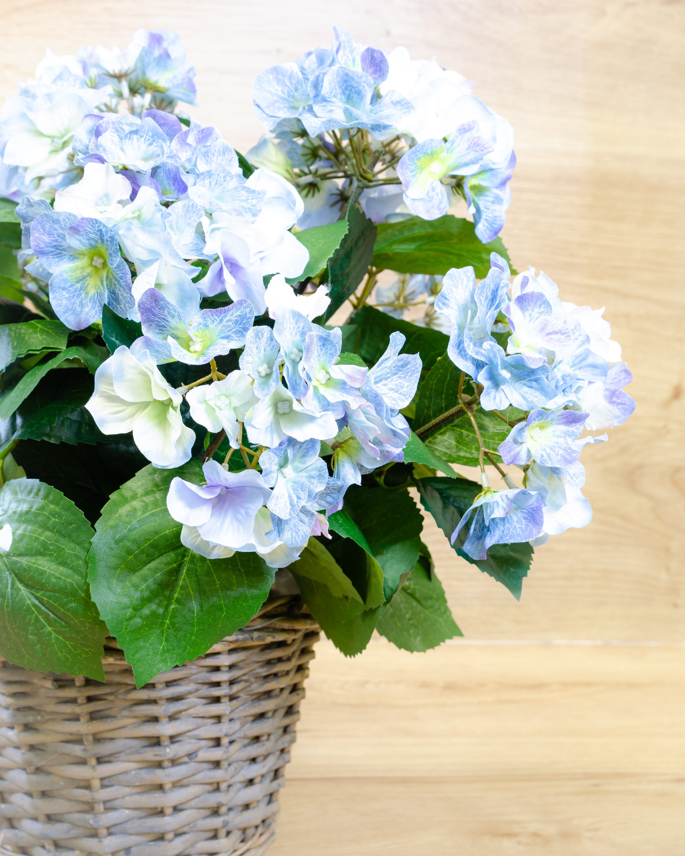 Blue Hydrangea in a Basket