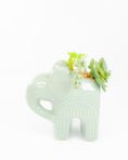 Load image into Gallery viewer, Elephant Pot with Succulents
