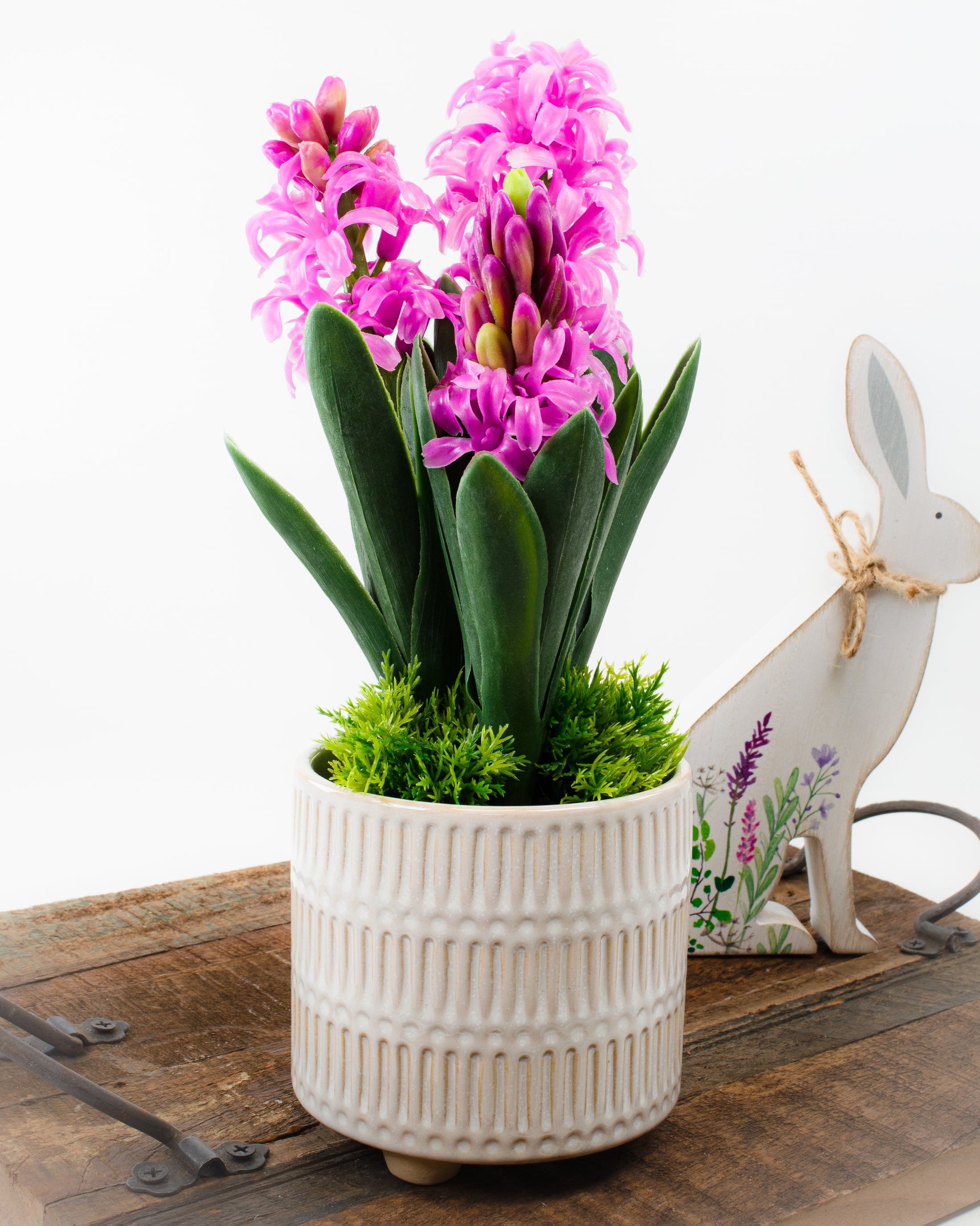 Potted Hyacinth (3 colours)