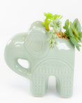 Load image into Gallery viewer, Elephant Pot with Succulents
