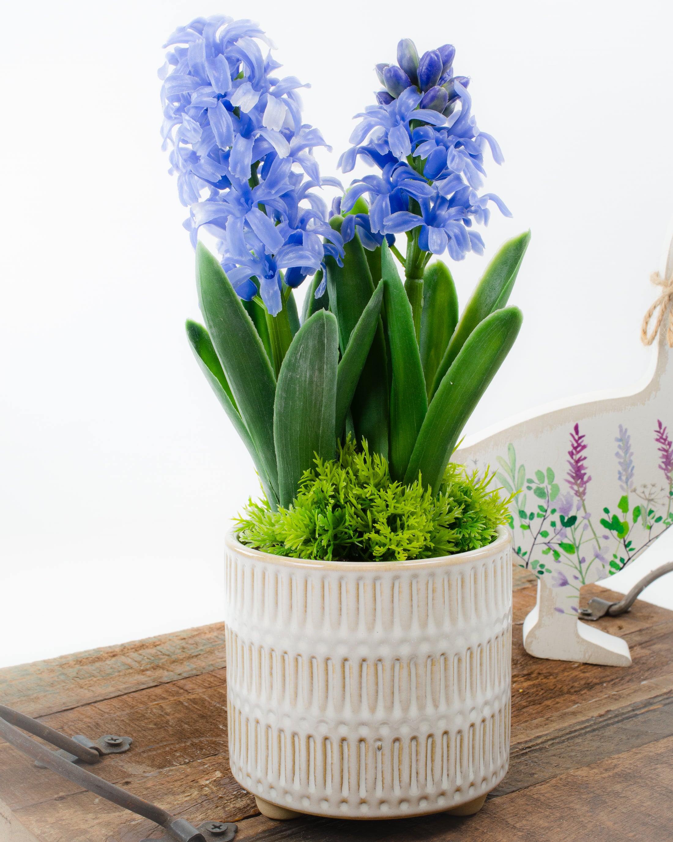 Potted Hyacinth (3 colours)