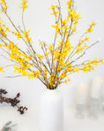 Load image into Gallery viewer, Forsythia Branch Stem
