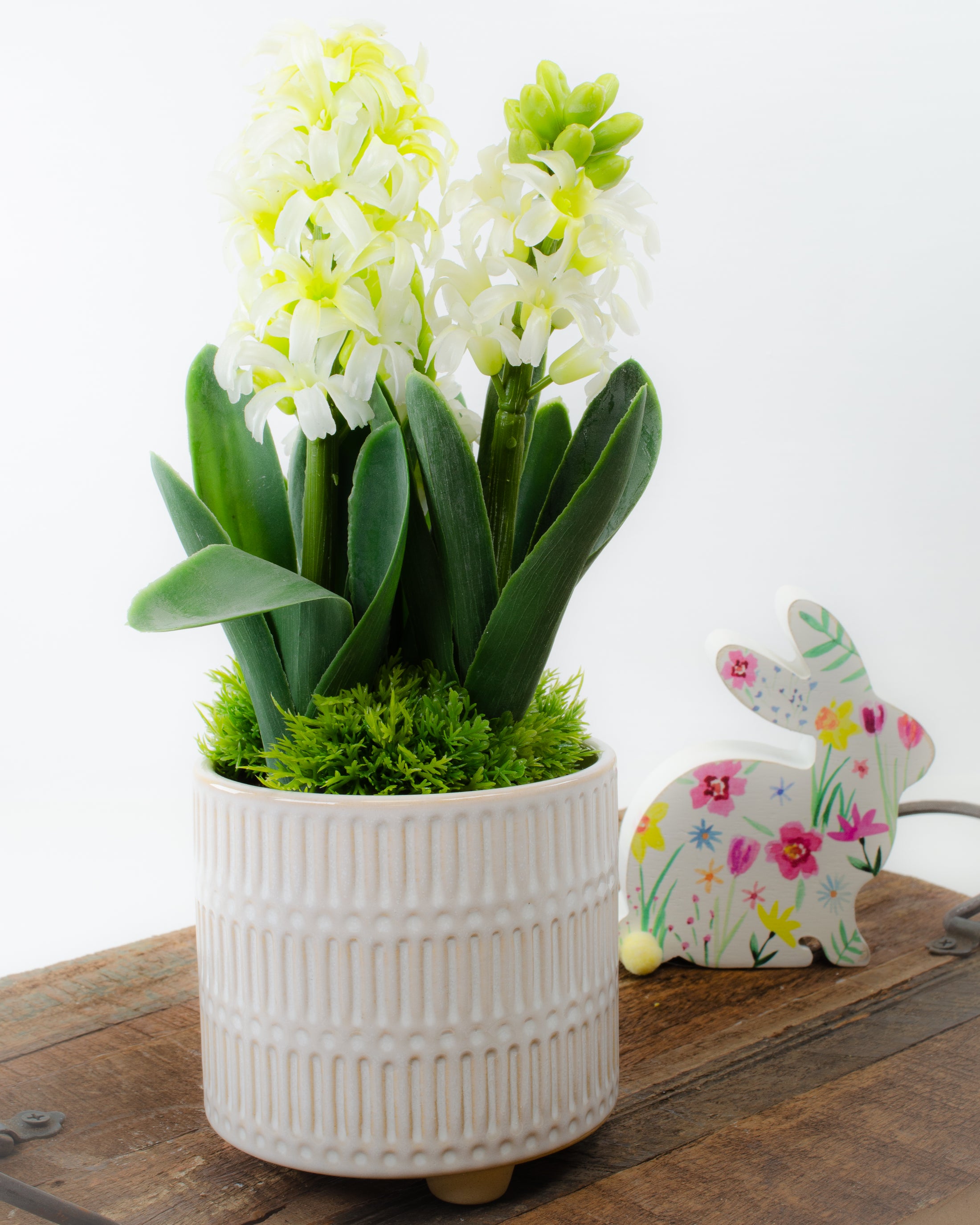 Potted Hyacinth (3 colours)