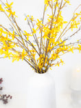 Load image into Gallery viewer, Forsythia Branch Stem
