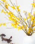 Load image into Gallery viewer, Forsythia Branch Stem
