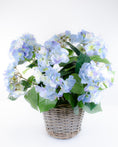 Load image into Gallery viewer, Blue Hydrangea in a Basket
