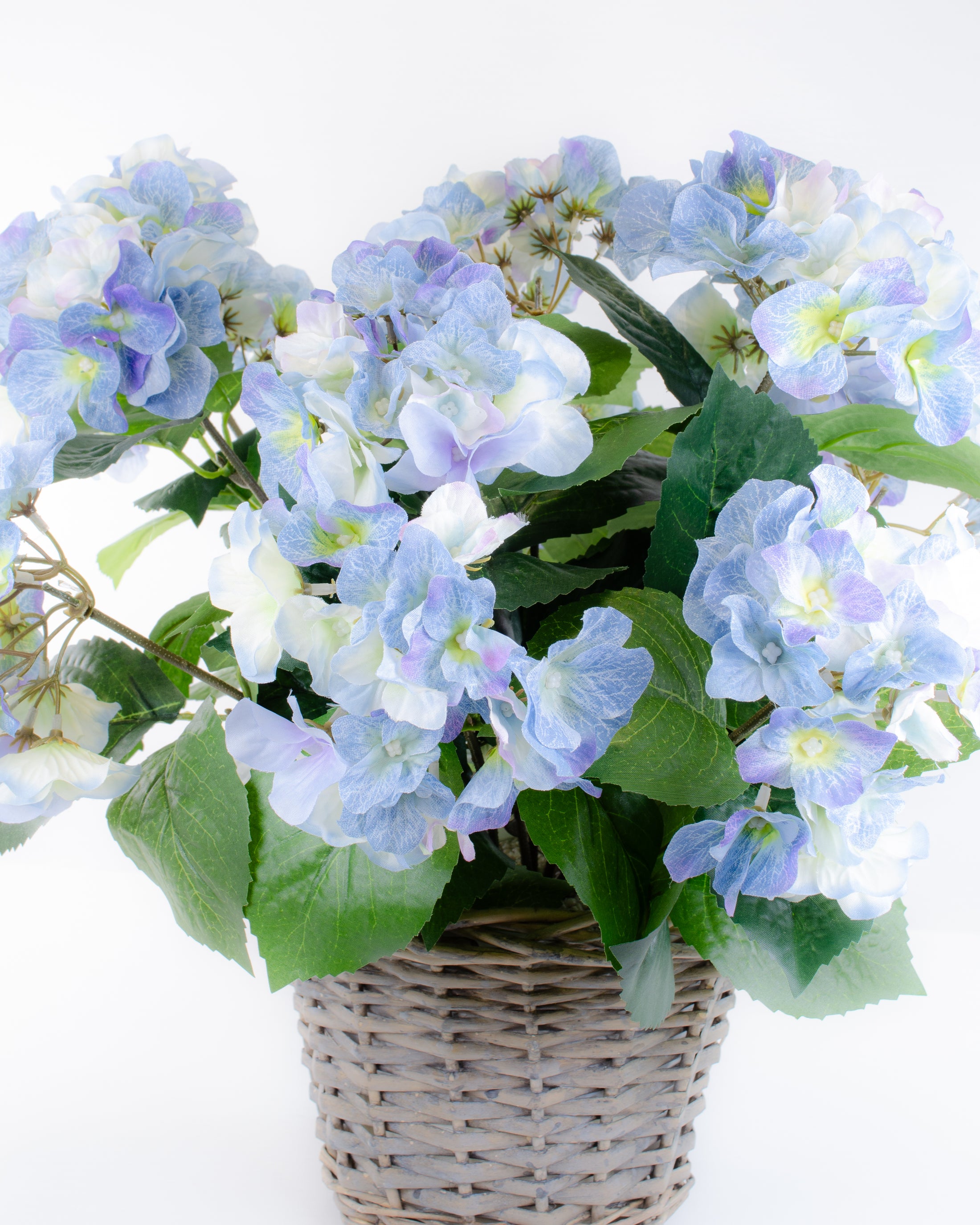 Blue Hydrangea in a Basket