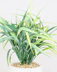 Load image into Gallery viewer, Faux Grass in Pot
