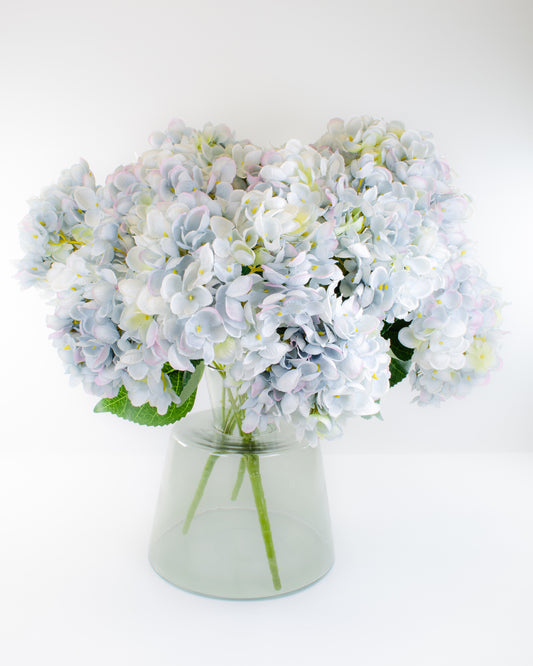 Blue Hydrangea Bunch