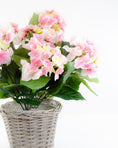 Load image into Gallery viewer, Pink Hydrangea in a Basket
