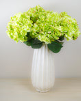 Load image into Gallery viewer, Green Hydrangea Bunch
