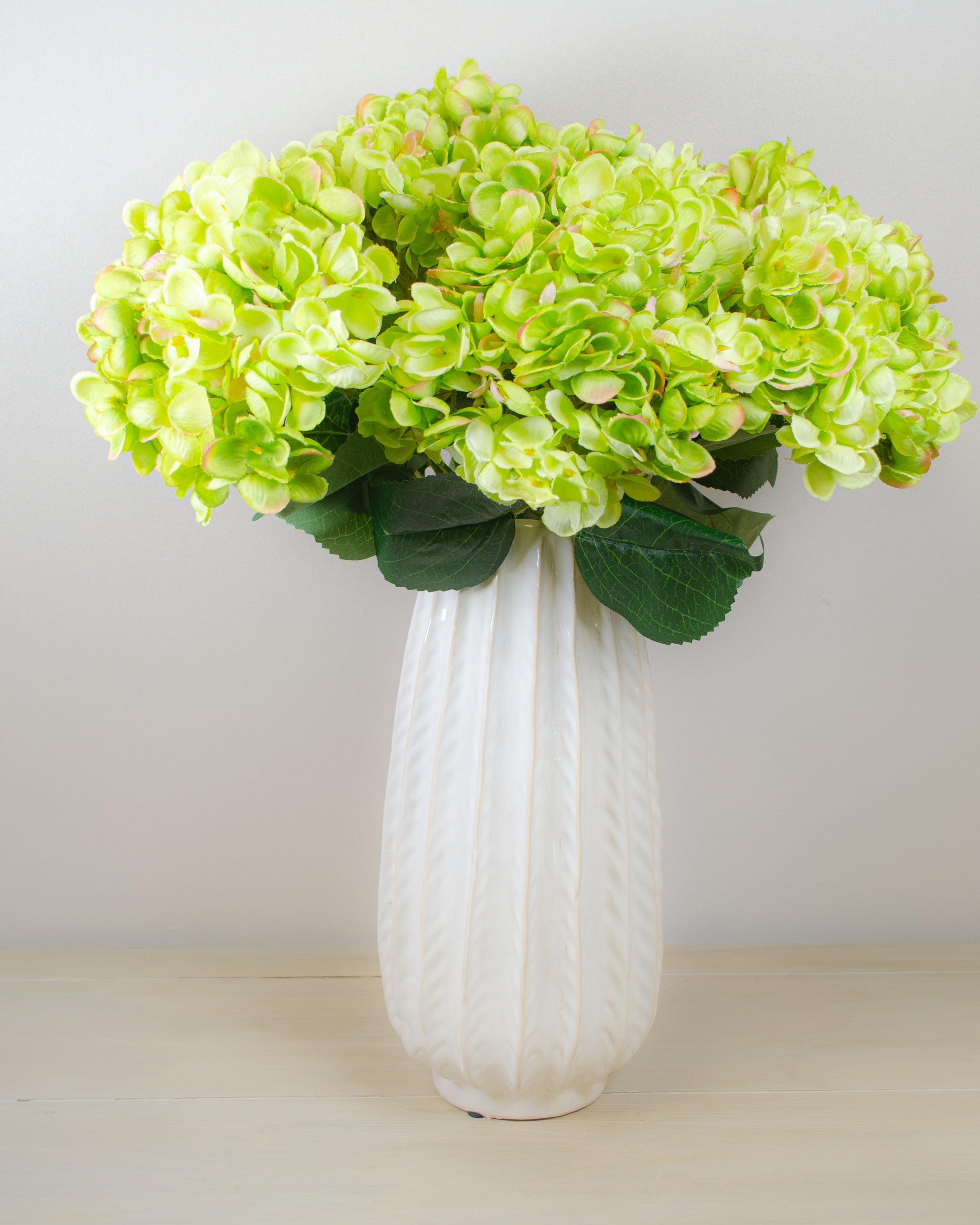 Green Hydrangea Bunch