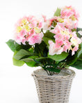 Load image into Gallery viewer, Pink Hydrangea in a Basket
