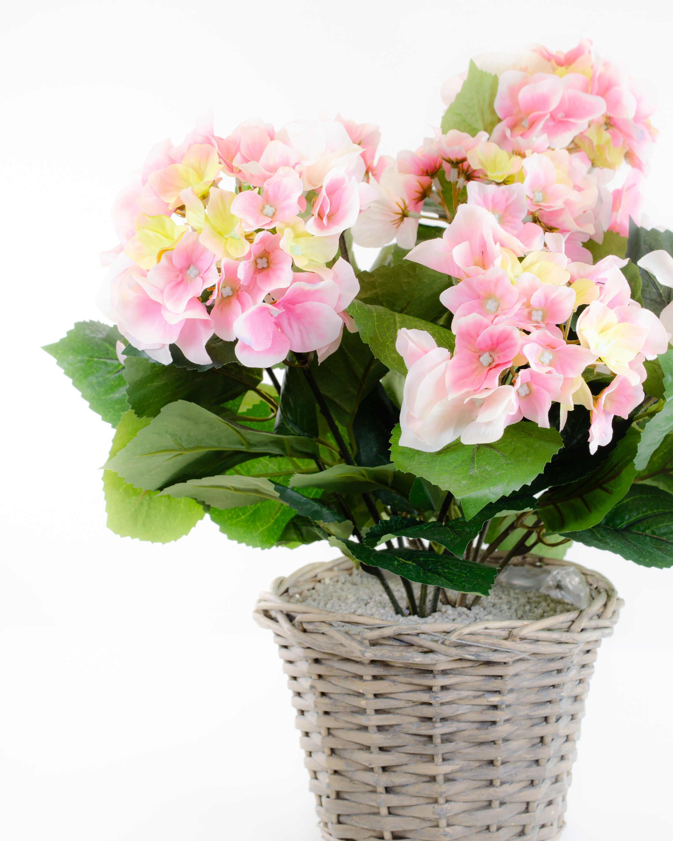 Pink Hydrangea in a Basket