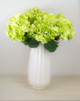 Load image into Gallery viewer, Green Hydrangea Bunch
