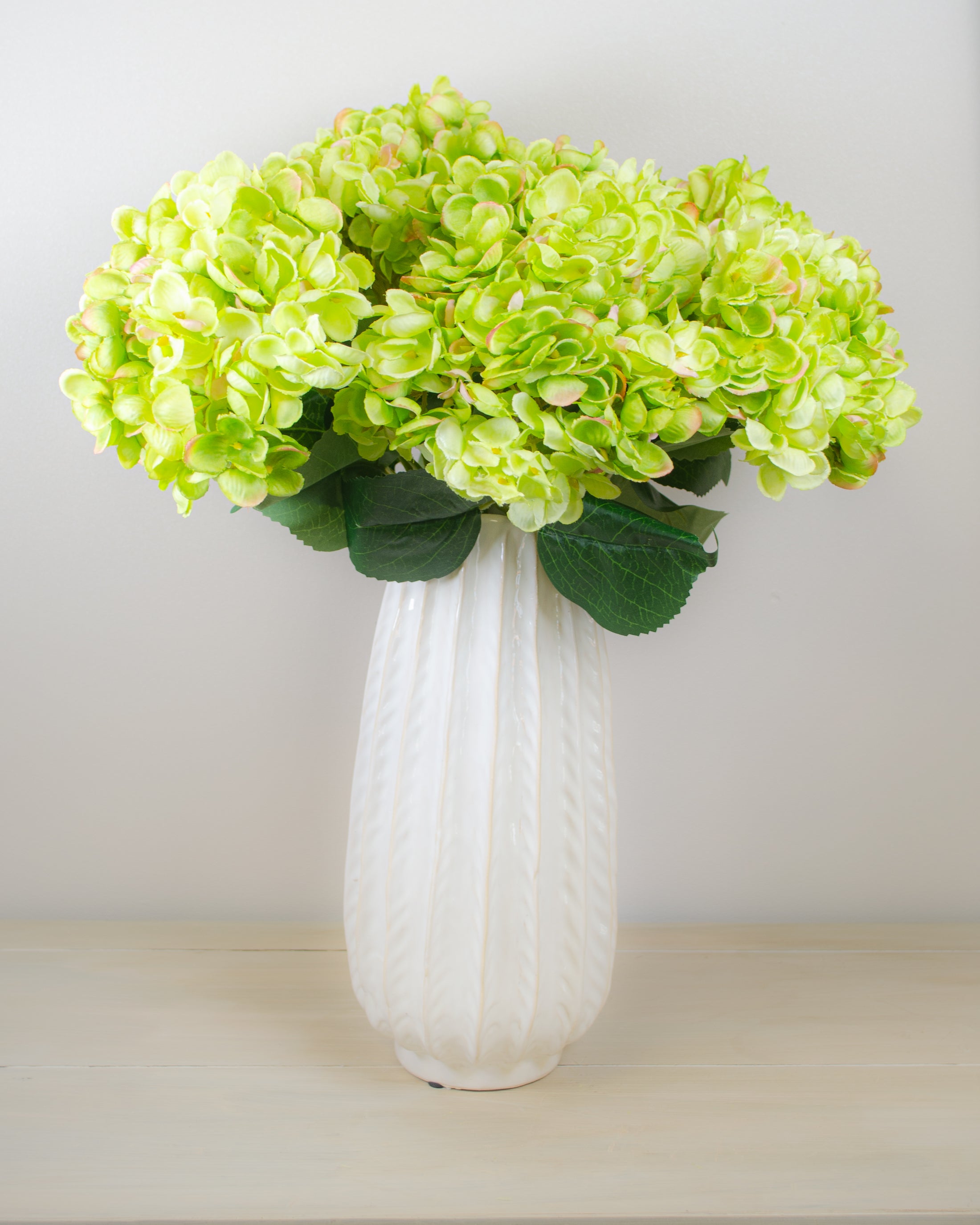 Green Hydrangea Bunch