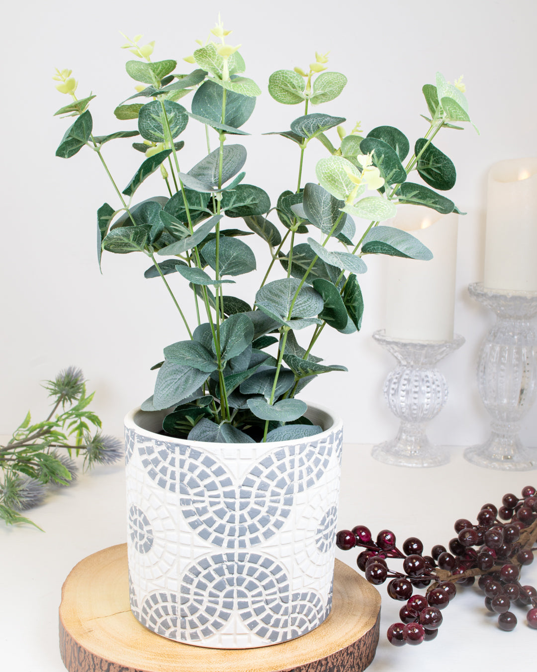 Eucalyptus in a Tin Pot