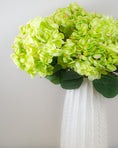 Load image into Gallery viewer, Green Hydrangea Bunch
