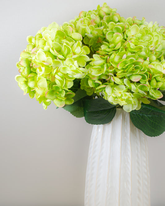 Green Hydrangea Bunch