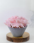 Load image into Gallery viewer, Mini Hydrangea in Pot (4 colours)
