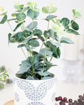 Load image into Gallery viewer, Eucalyptus in a Tin Pot
