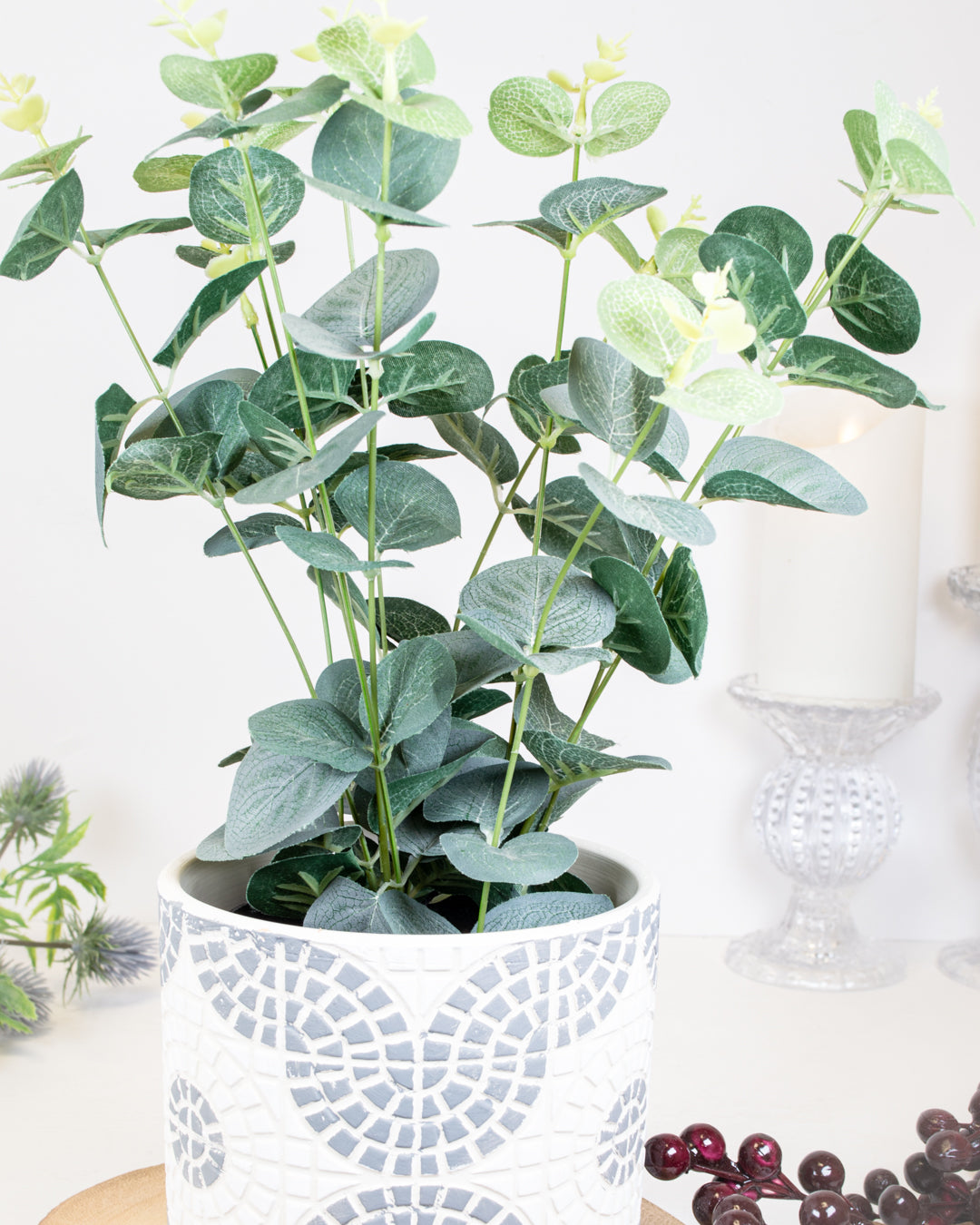 Eucalyptus in a Tin Pot