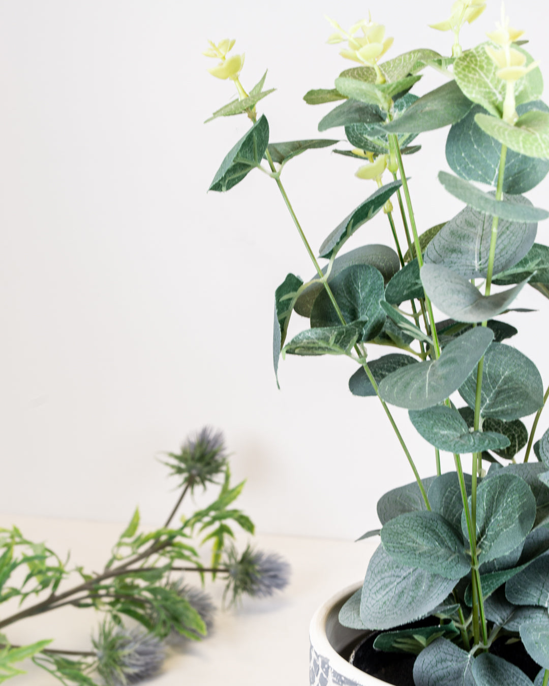 Eucalyptus in a Tin Pot